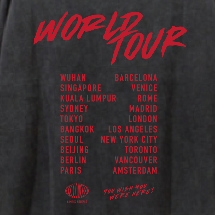 YOU WISH YOU WERE HERE WORLD TOUR